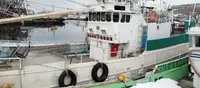 Trawler te koop