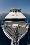 Veerboot te koop