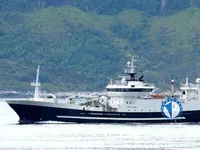 Trawler te koop