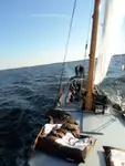 Barge te koop