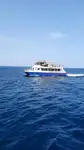 Catamaran Te koop