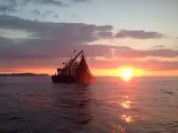 Trawler te koop
