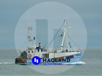 Levend vis transport schip te koop