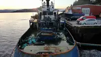 Sleperschip te koop