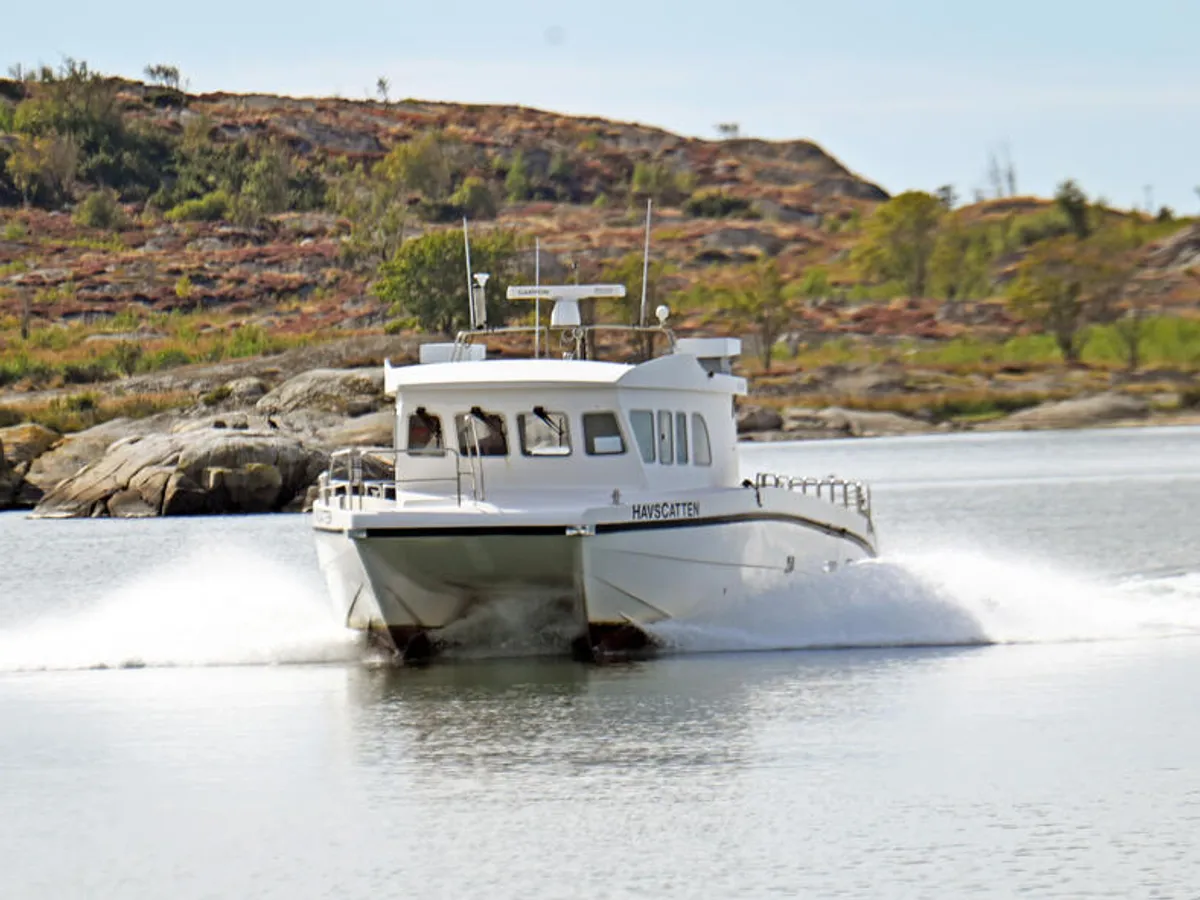 Catamaran te koop