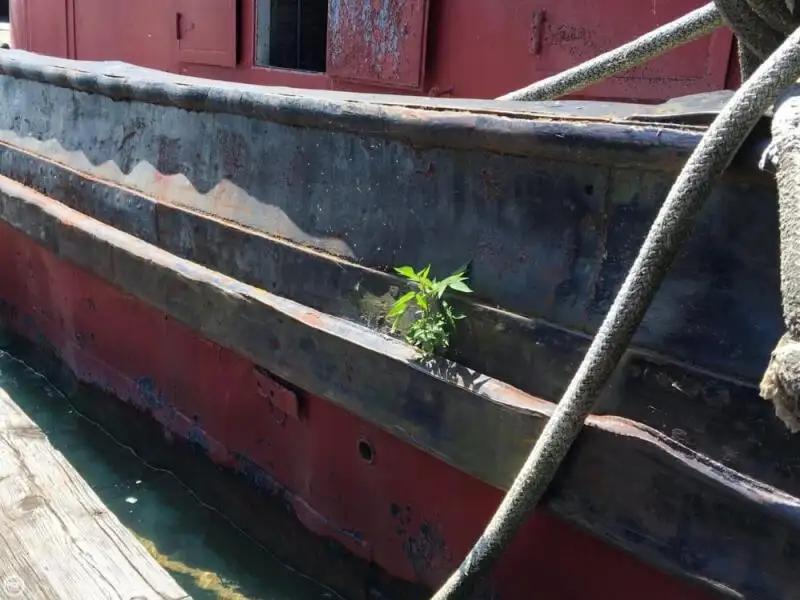 Sleperschip te koop