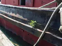 Sleperschip te koop
