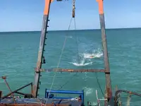 Werkboten te koop