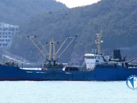 Koelschip te koop