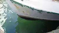 Trawler te koop