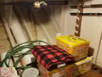 Veerboot te koop