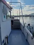 Catamaran te koop