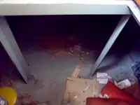 Sleperschip te koop