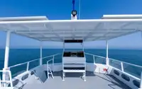 Catamaran te koop