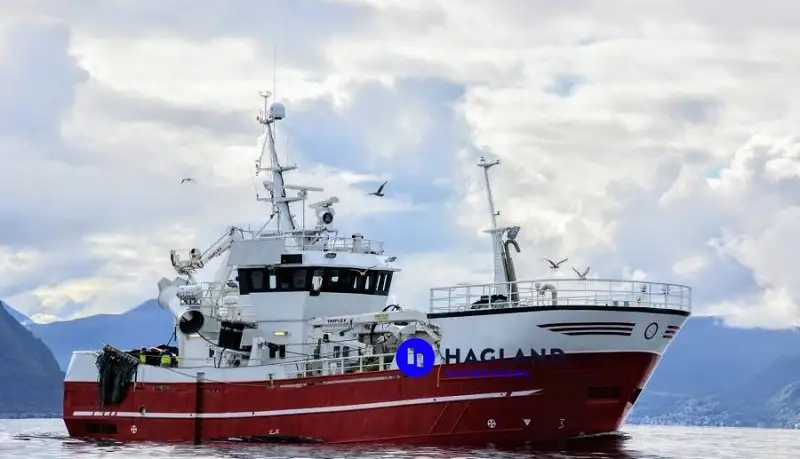 Purse-seine trawler te koop