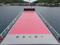 Bulkcarrier te koop