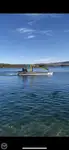 Barge te koop