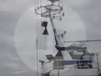 Levend vis transport schip te koop