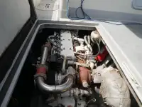 Catamaran te koop