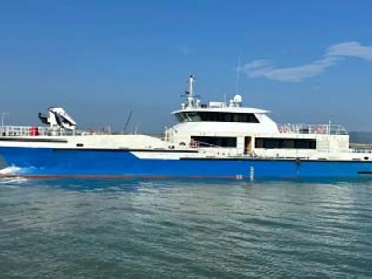 Catamaran te koop