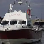 Werkboten te koop
