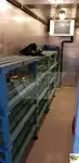Passagiersschip te koop