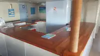 Catamaran Te koop