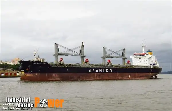 Bulkcarrier te koop