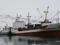 Koelschip te koop