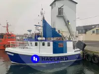 Levende visdrager Te koop