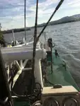 Baggeraarschip te koop