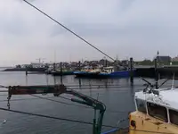 Trawler te koop