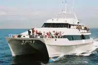 Catamaran Te koop