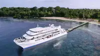 Catamaran Te koop