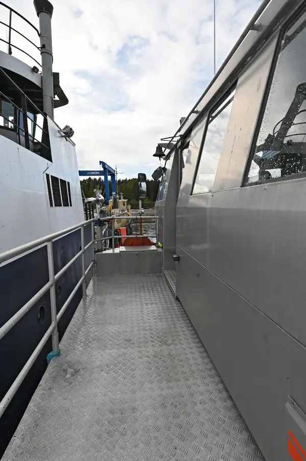 Catamaran te koop