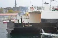Ro-Ro-schip te koop