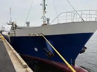 General Cargo/Multi-purpose te koop