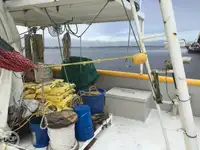Trawler te koop