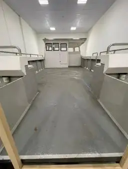 Catamaran te koop