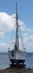 Veerboot te koop