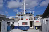 Catamaran te koop