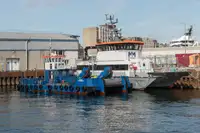Catamaran Te koop