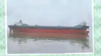 Containerschip Te koop