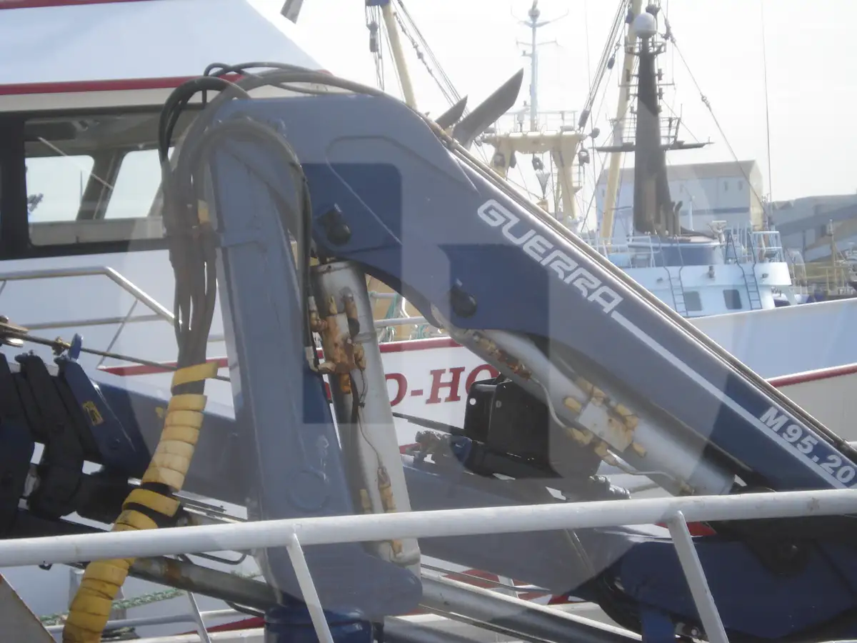 Levend vis transport schip te koop
