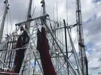 Trawler te koop
