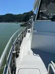 Catamaran te koop