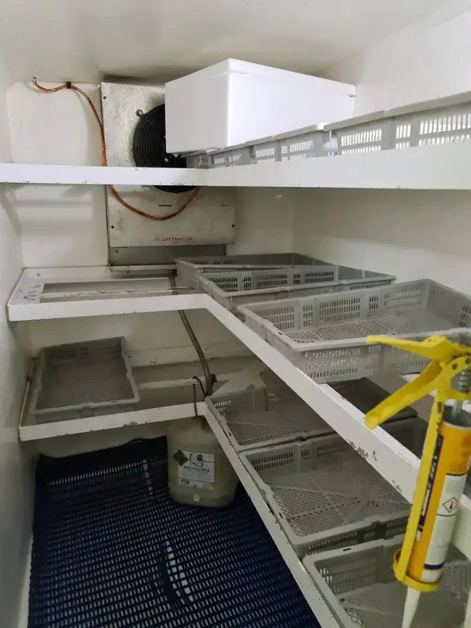 Langlijnschip te koop