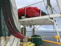 Trawler te koop