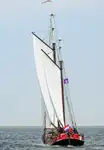 Bulkcarrier te koop