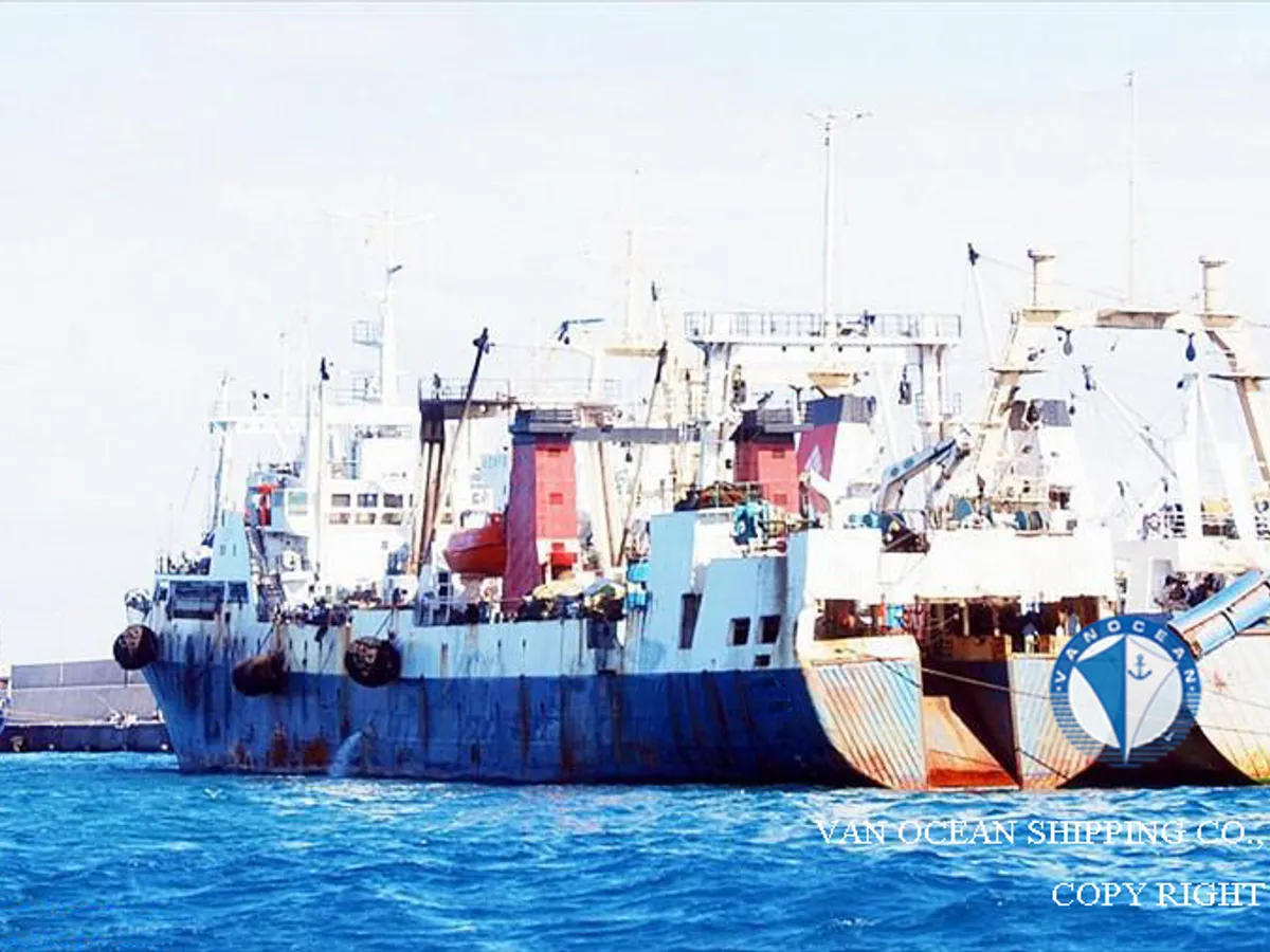 Trawler te koop